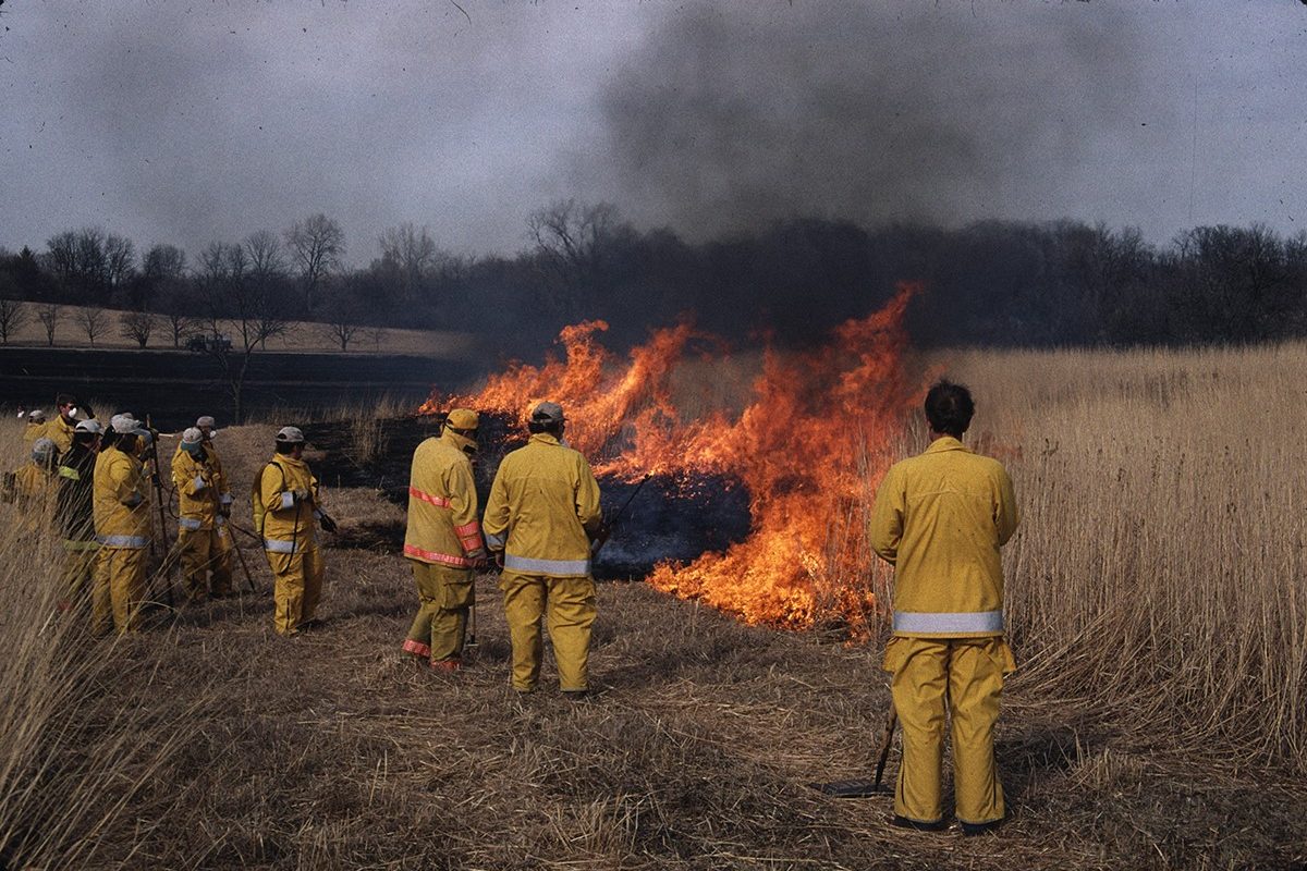 A group of people in yellow suits stand around a controlled fire in a dry sun-bleached field of grasses on a sunny day