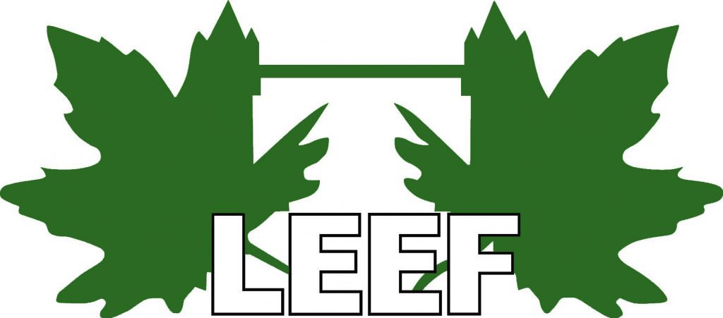 A logo with two green leaves and the word LEEF in the middle