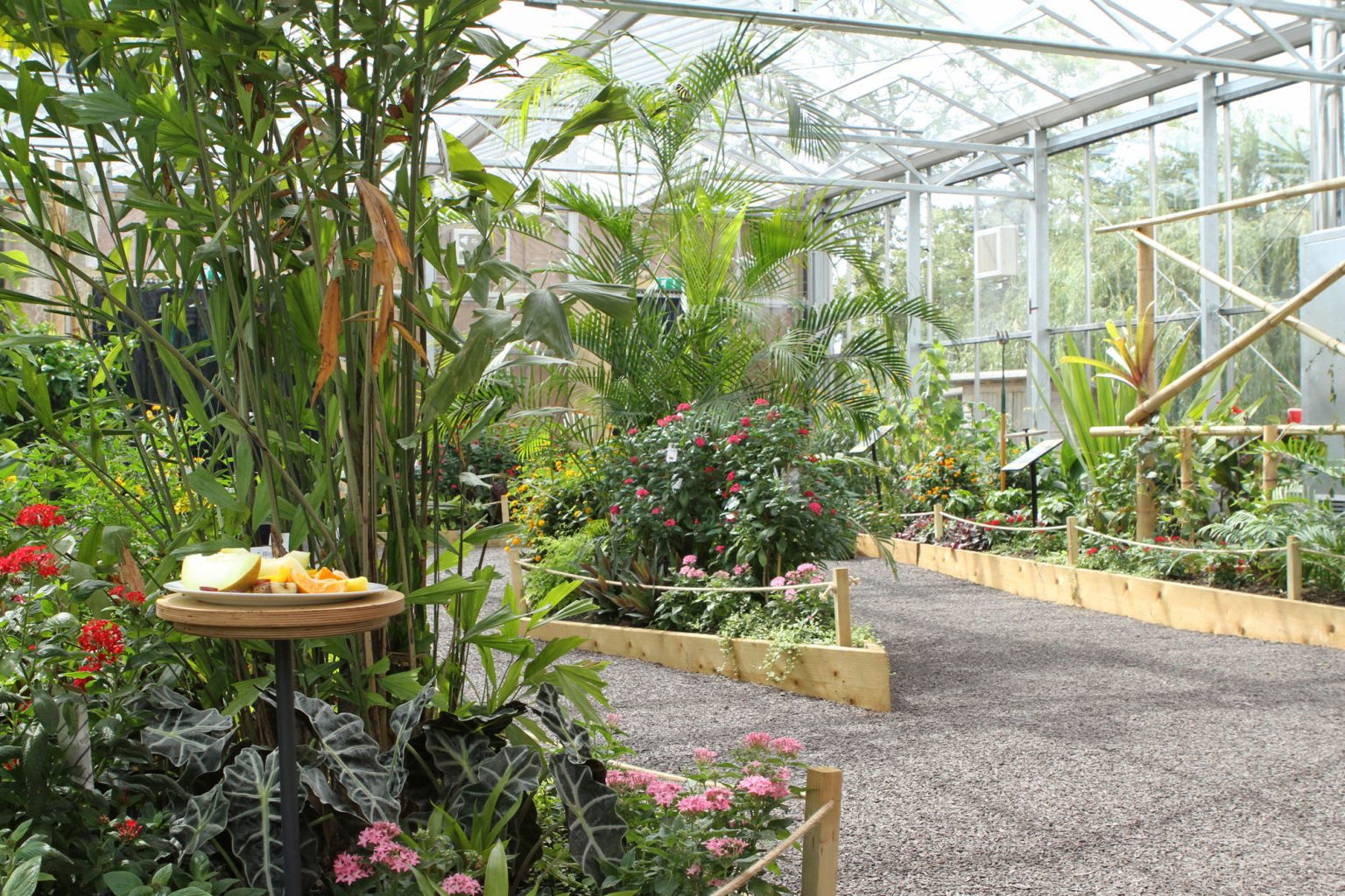 butterfly-house-horniman-museum-and-gardens