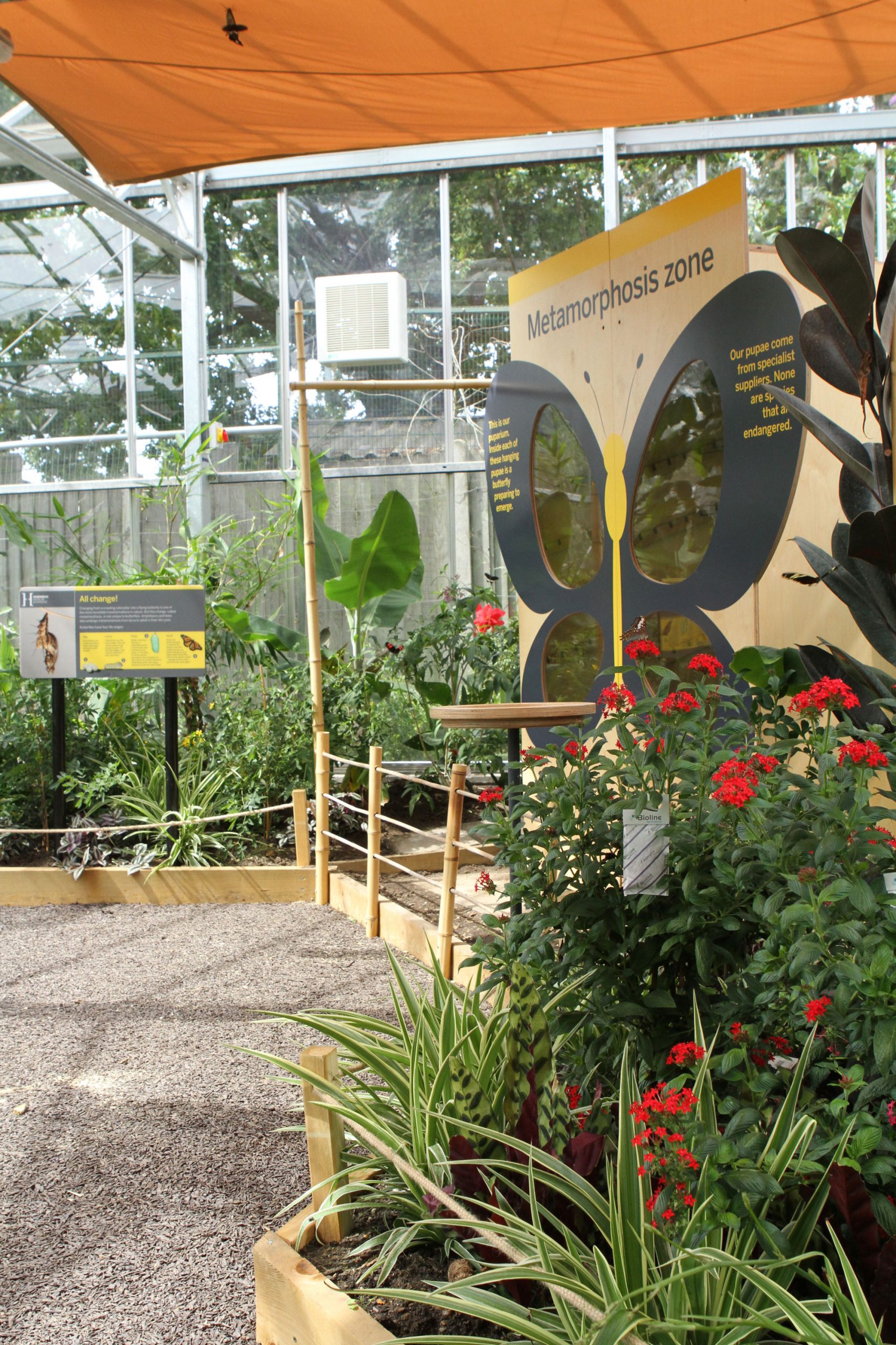 Butterfly House - Horniman Museum and Gardens