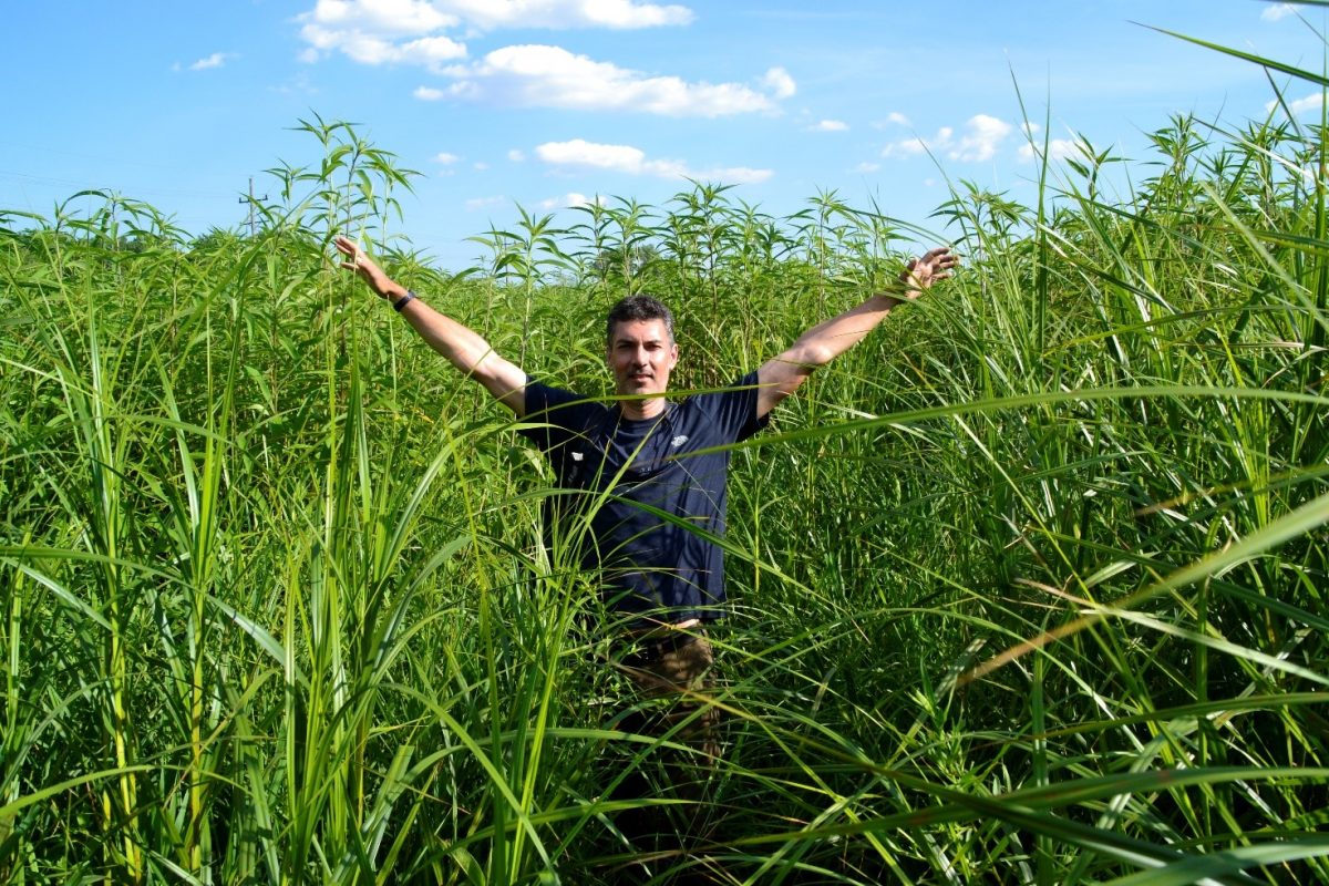 Wes standing in a grassy field