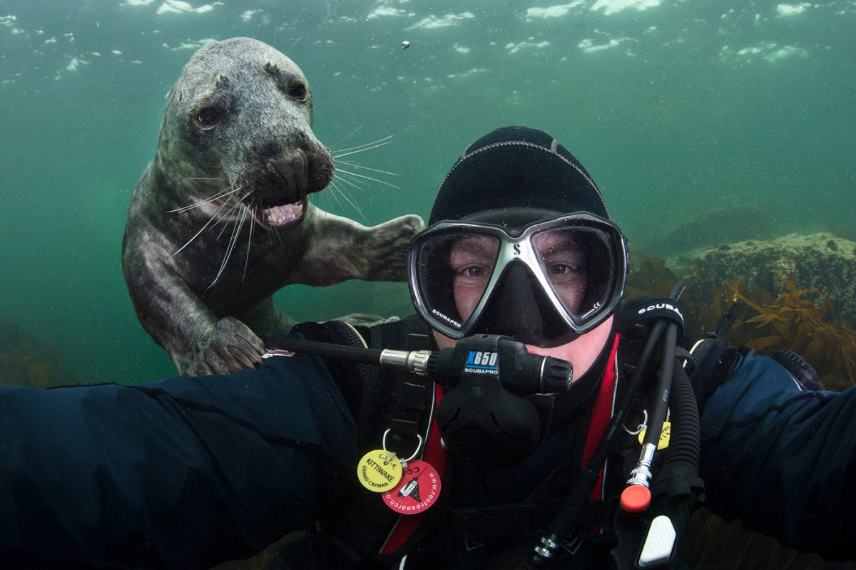 Man and seal looking at camera, taking selfie in ocean