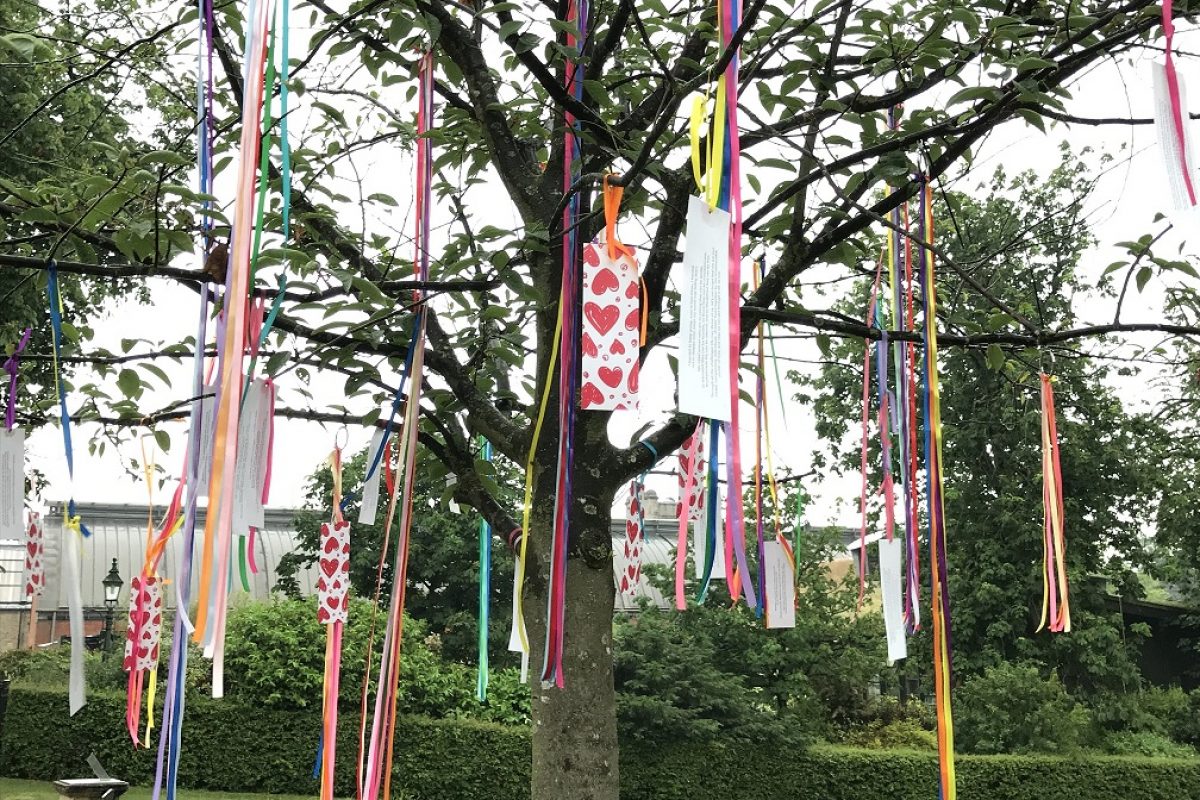 Wishing tree at the Horniman