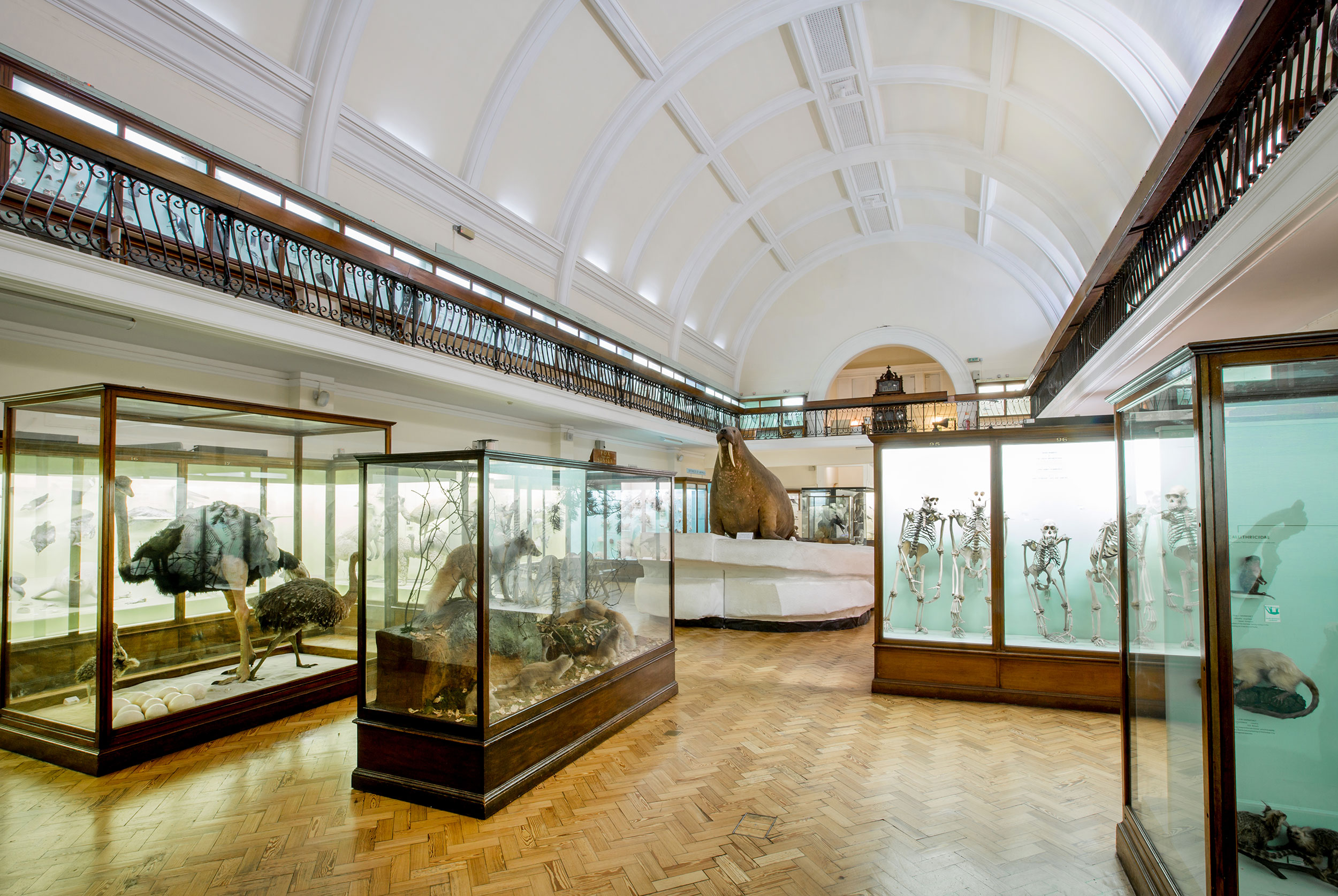 Nature + Love - Horniman Museum and Gardens