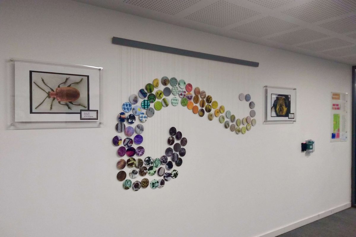 Many small round photos arranged in a swirl shape on a wall