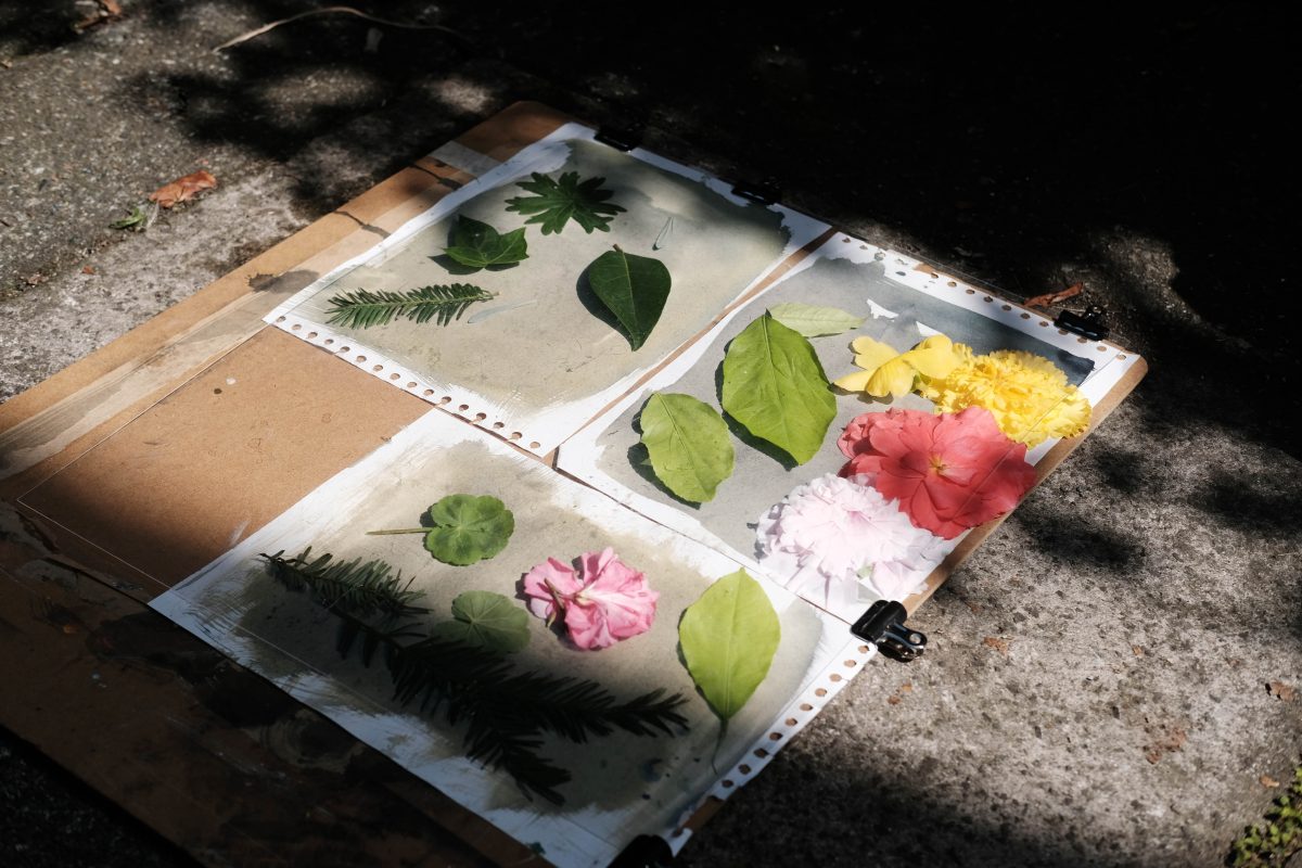 Flowers and leaves sit on top of colourful paper outside in the sunshine