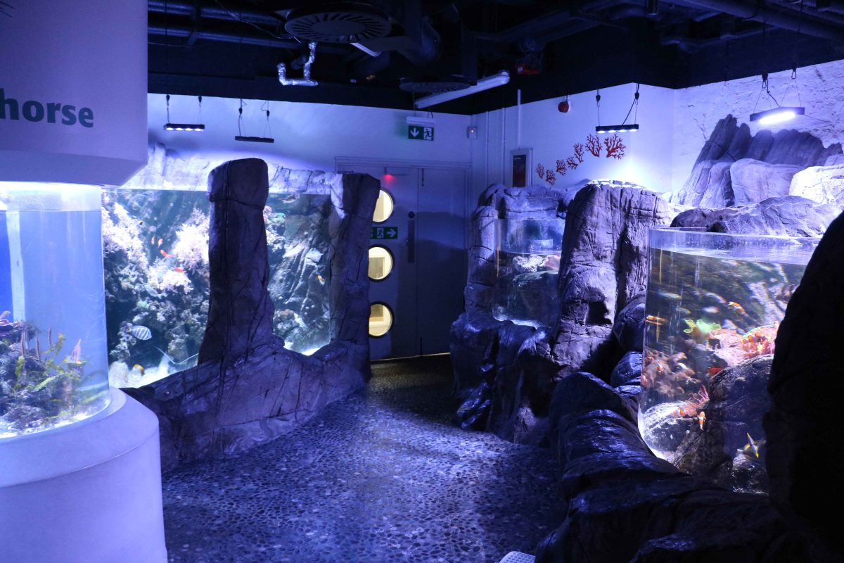 Tanks in the Aquarium